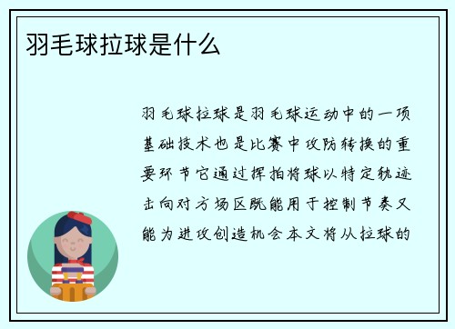 羽毛球拉球是什么