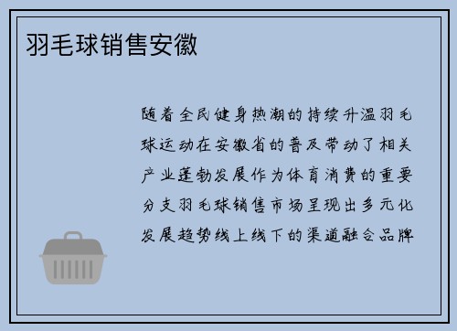 羽毛球销售安徽